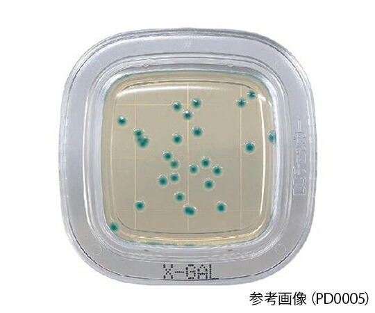 ぺたんチェックRDD　X-GAL寒天培地 PD0006 栄研化学