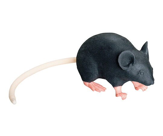 マウス型実習用動物シミュレータ　Mimicky（R） rrrmm01 三協ラボサービス