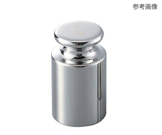 【おまとめお得な２個仕掛ける】円柱重り SWM500 アズワン