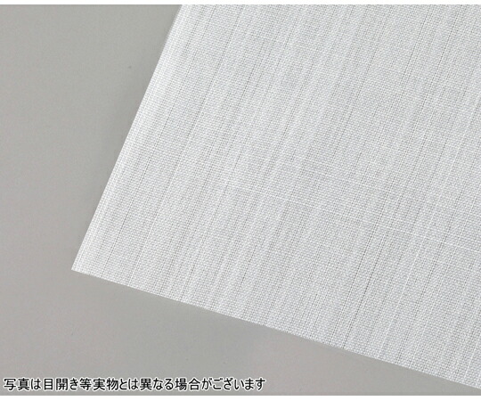 tantore PTFEろ波器布 目食い違い5μ 糸径300μ 開口部率1％ 100mm×100粍 1枚