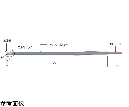 安立表示計器 直腸用ホンブルグ帽上半身形熱度検出器 Model 1601 0～200℃ 検出器外径（φ粍）：4 K印字機 1本 1601K-TS1-ASP
