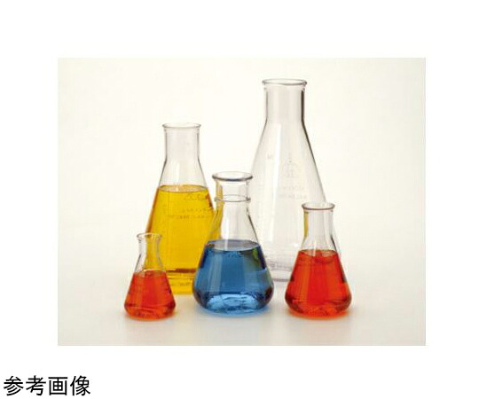 Thermo　Scientific　Nalgene 三角フラスコ（PC） 250mL 1箱(6本×1包入) 4103-0250