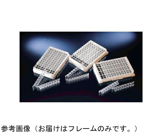 Nalge　Nunc　（サーモフィッシャーサイエンティフィック） イムノロックウェルモジュール用フレーム 1箱(10個×6包入) 465404