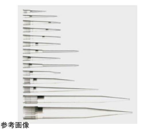 Thermo　Scientific　Finnpipette フィルター 384 0.2～50μL 1箱(384本×10ラック入) 94052060