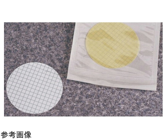 Thermo　Scientific　Nalgene 水質試験メンブレン（CN） 白 1箱(100枚×1ケース入) DS0205-4045