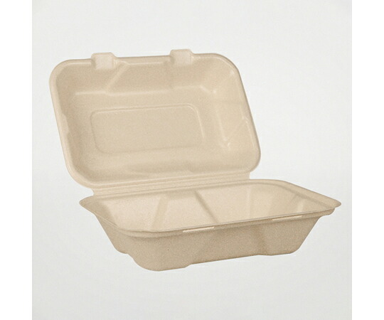 店内全品ポイント5倍★要エントリー★パックスタイル BB竹バガス ランチ 220-150 ラミ 50枚×4パック入 1ケース(50枚×4パック入) 654680|Shop de clinic店