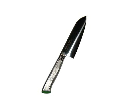 江部松商事 EBM E-pro PLUS 三徳型 16.5cm グリーン 1個 8734740