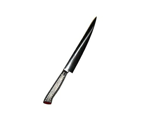 店内全品ポイント5倍★要エントリー★江部松商事 EBM E-pro PLUS 筋引 24cm レッド 1個 8734920｜Shop de clinic店