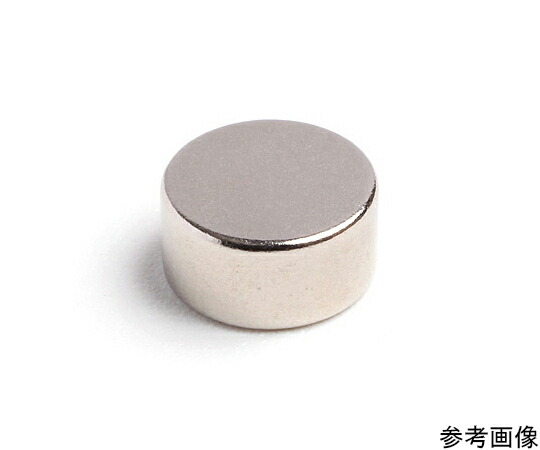 二六製作所 ネオジム Φ12×5（N52）20個入 20個入 NE541