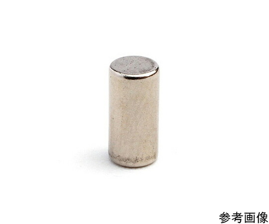 二六製作所 ネオジム Φ6×12（N40）30個入 30個入 NE428