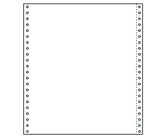 ヒサゴ ストックフォーム（白）無地 1セット(500枚入) GP10W
