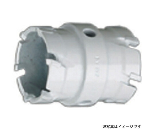 ハウスビーエム ドッチーモ超硬ホルソ10mmストレートセット 1セット DHB-48