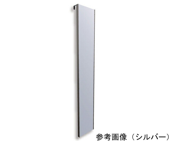 Jフロント建装 割れないミラー　ドア掛　20×120cm　シャンパンゴールド 1個 RMH-20-SG
