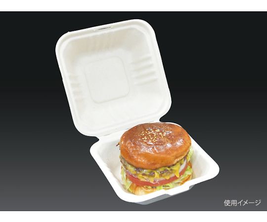 店内全品ポイント5倍★要エントリー★パックスタイル BB竹バガスランチ１５０&minus;１５０ 500枚入 1ケース(500枚入) 649713｜Shop de clinic店