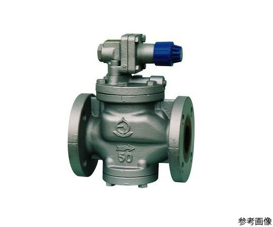 ベン 弁天　FC/青銅減圧弁【フランジ・蒸気用・（0.03～0.8MPa）】 1個 RP6-B-65A