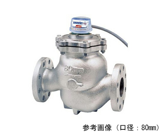 アズビル金門 温水米突 心臓の鼓動送りとどける式タテ型ウォルトマン型（10KF）本体 1個 GBHT-H-50A-1M3P