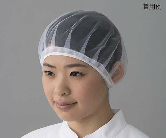 【おまとめお得な２個書き割り】オリエントリント無償性 ヘアーネット M大きさ E-500 M 1袋(10枚入)
