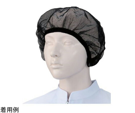 KAZEN ヘアーネット（10枚）　黒　フリー 470-95 ﾌﾘｰ 1セット(10枚入)