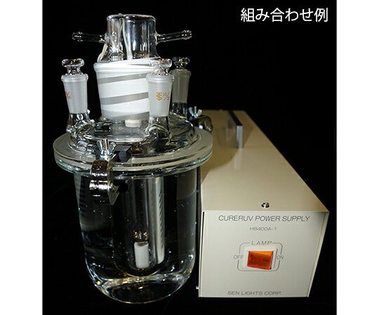 セン特殊光源 高圧水銀ランプ 1箱 HL100GL-1