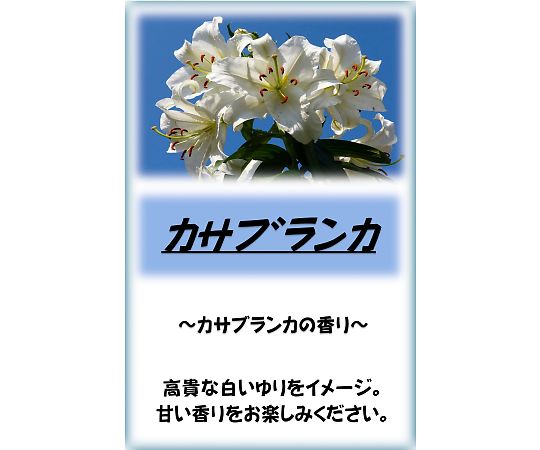 アサヒ商会 アサヒ入浴剤　カサブランカ　10kg 1箱
