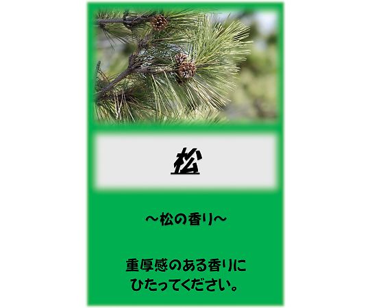 アサヒ商会 アサヒ入浴剤　松　10kg 1箱