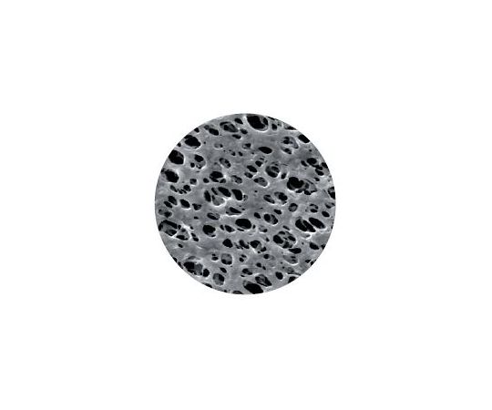 GVS メンブレン　ディスク　直径Φ142mm　NY　0.45μm 1箱(25枚入) 1213779