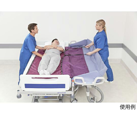 その他 スライドシート　マキシスライド・シート　MaxiSlide　Sheets　1袋（1枚入） 1枚／袋 NSA0500