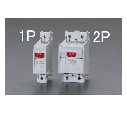 エスコ サーキットプロテクター/フレーム30 AC250・DC125V/20A/2極 1個 EA940MN-220