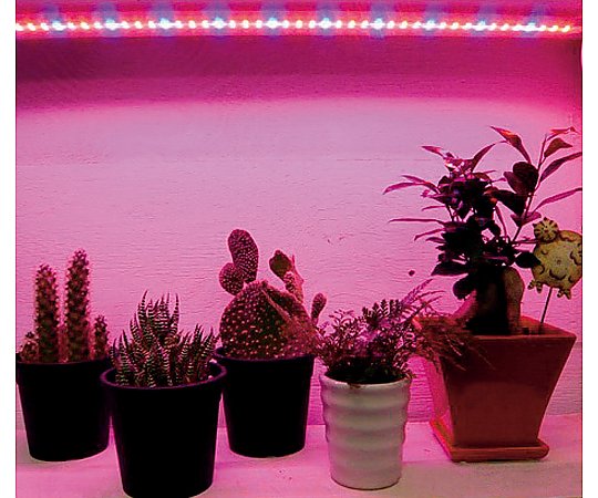 その他 植物育成ＬＥＤライト補光用ＬＥＤ 1セット