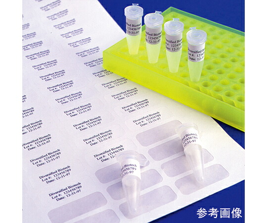 Diversified　Biotech 一般のラベリング用　タフタッグ　シートタイプ　クリアー　38x13mm 1個(80枚×20シート入) CLTT-2000