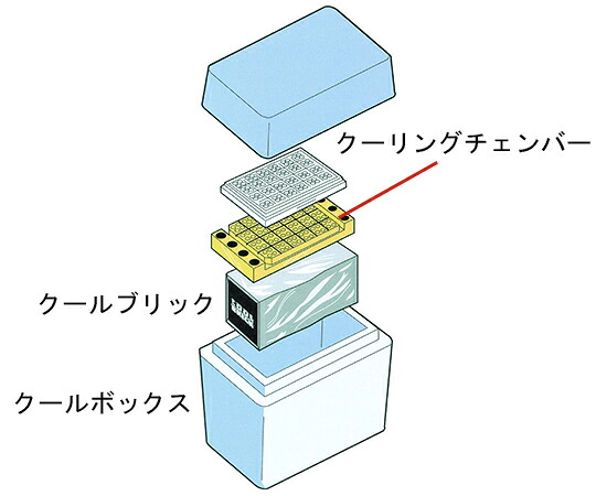 Diversified Biotech クールブリック（保冷剤） 1℃ 1個 BRIK-2501