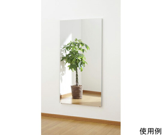 Jフロント建装 ジャンボ姿見ミラー　80×150cm　シルバー 1個 RM-6-S 24,635円
