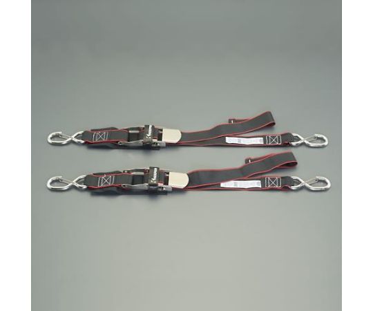 トランサムタイダウンベルト（2本） 44mm×1.2m/226kg 1パック(2本入) EA982BA-66