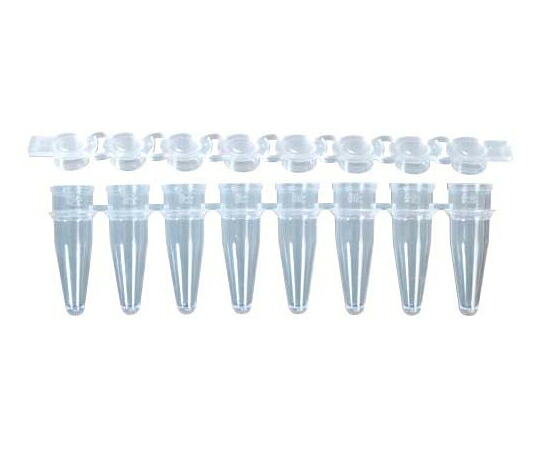 GUNSTER PCR 8連チューブ＆8連フラットキャップ 0.2ml ナチュラル 1セット（960本×4個入） 1セット(960本×4個入) MB-P08-B