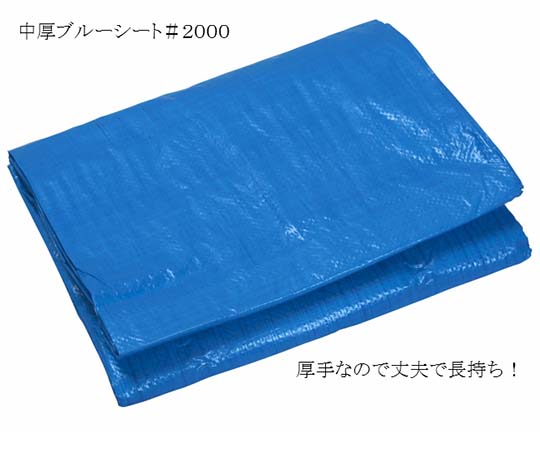林商事 青み居敷き #2000 5.4×7.2 5枚入 1容器に並べる(5枚入)