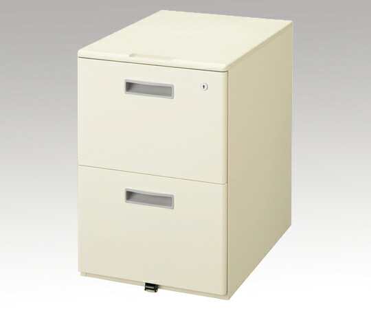 店内全品ポイント5倍★要エントリー★生興 デスク 2段ワゴン 400×582×612mm 1個 LCS-042CG|Shop de clinic店