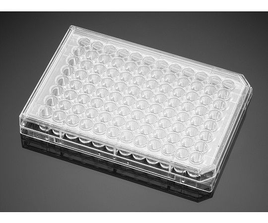 Corning（Falcon） BioCoat コラーゲンI マルチウェルプレート 48ウェル 5個/容器に並べる×10容器に並べる 1容れもの(5個×10容器に並べる入) 356505