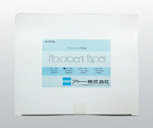 アトー ブロッティング用ろ紙「アブソーベントペーパー」 1箱(100枚入) 2392493／CB-20A
