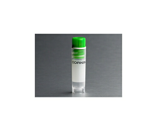 コーニング クライオジェニックバイアル内ネジキャップ丸底自立型2.0ml 緑色キャップ 1ケース(50個×10パック入) 431419