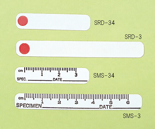 Shamrock フォトグラフィーラベル 1個 SRD-34