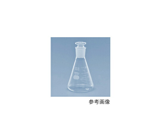 AGCテクノグラス・IWAKI 共通摺合せ共栓三角フラスコ（中形栓付） 1000mL 1個 5021FK1000-34