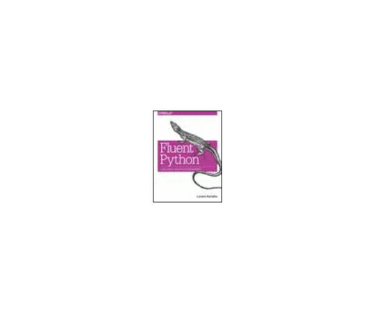 （出版社）OReilly Fluent Python 1冊 978-1-4919-4600-8
