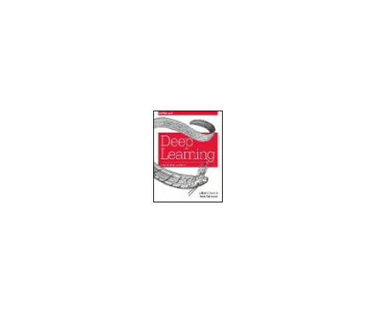 （出版社）OReilly Deep Learning 1冊 978-1-4919-1425-0