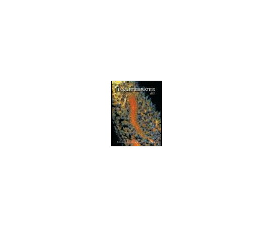 店内全品ポイント5倍★要エントリー★(出版社)Sinauer Associates Inc. Publishers Invertebrates 1冊 978-1-60535-375-3|Shop de clinic店