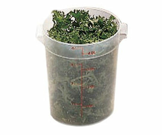 CAMBRO（キャンブロ） 丸型フードコンテナー半透明 1個 RFS22PP