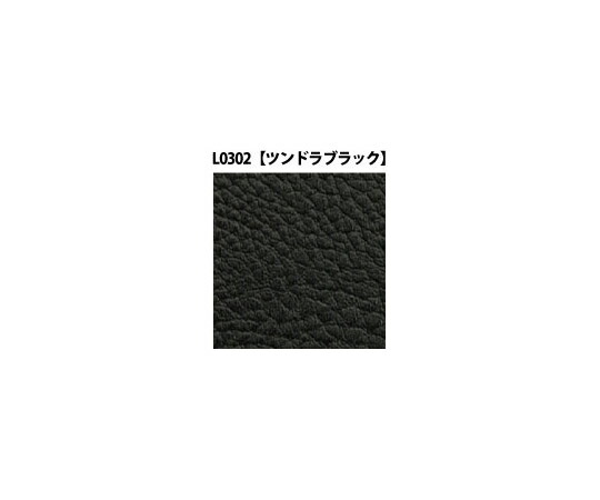 グラフィタイプ テクスチャーシート L なめし革続きもの (凍原黒いこと) 220mm×10m 1本 L0302