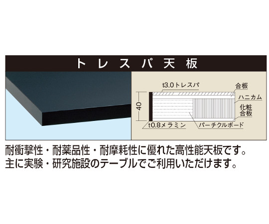 店内全品ポイント5倍★要エントリー★サカエ 作業台 オプション天板(実験用/トレスパ天板) ダークグレー 1個 ST-1275TC|Shop de clinic店