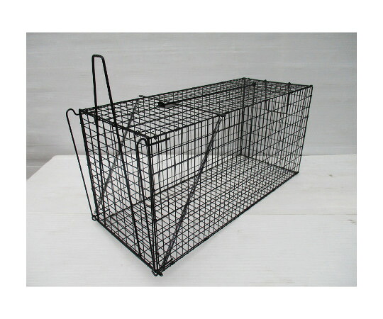 店内全品ポイント5倍★要エントリー★コンパル 小動物捕獲器 ウルトラ捕獲器 LL 外トビラ仕様 1個|Shop de clinic店