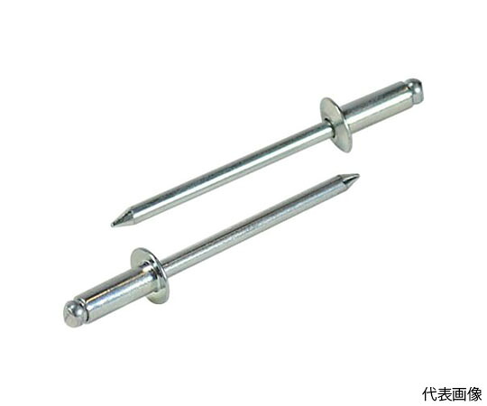 店内全品ポイント5倍★要エントリー★ロブテックス ブラインドリベット（スティール/スティール製） 8-12（500本入） 箱入 NS8-12 1箱(500本入)｜Shop de clinic店