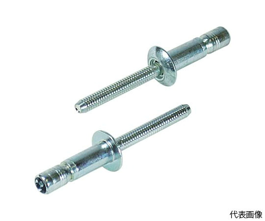 店内全品ポイント5倍★要エントリー★ロブテックス 高強度ブラインドリベット Sボルト（丸頭） Φ6.4/板厚15.9mm （100本入） SNS64159EB 1箱(100本入)｜Shop de clinic店